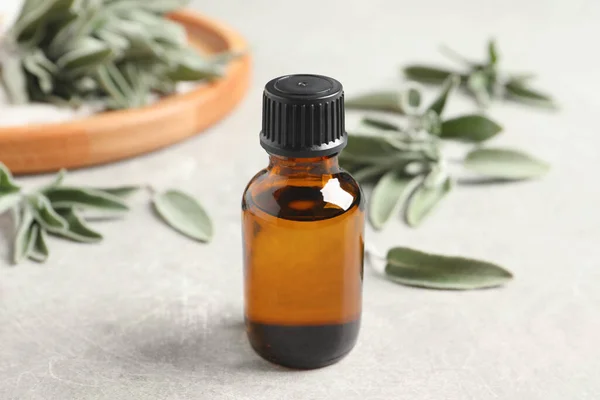 Bottle Essential Sage Oil Leaves Light Grey Table — Stockfoto