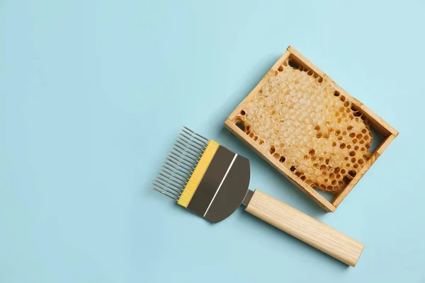 Honeycomb Frame Uncapping Fork Light Blue Background Flat Lay Space — Stockfoto