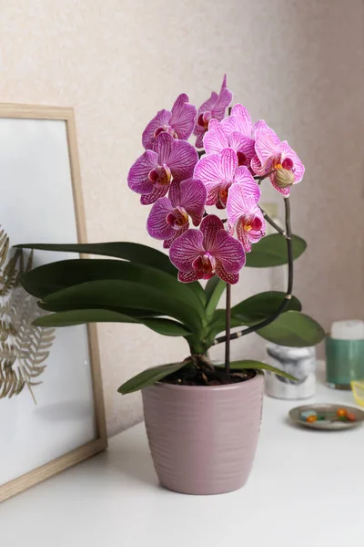 Beautiful Pink Orchid Flower Picture White Table — Foto Stock