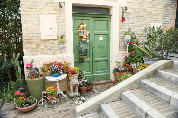 Beautiful House Decor Flowers Entrance — Stockfoto
