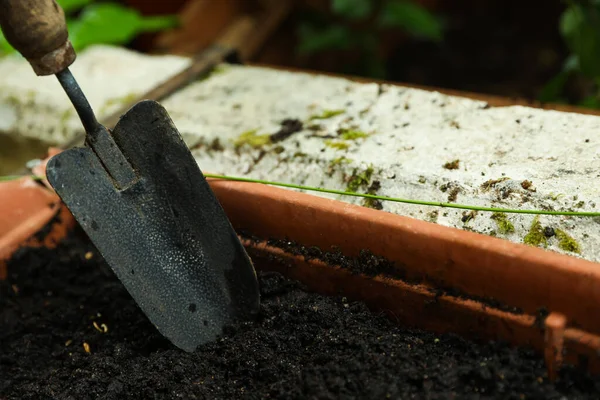 Shovel Pot Soil Closeup Space Text Gardening Season —  Fotos de Stock
