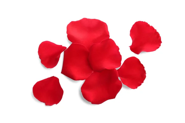 Many Red Rose Petals White Background Top View — Foto de Stock