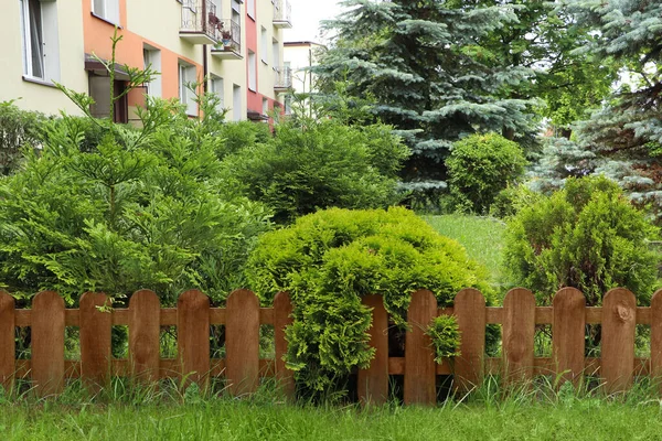 Different Beautiful Plants Wooden Fence Outdoors Gardening Landscaping — Fotografia de Stock