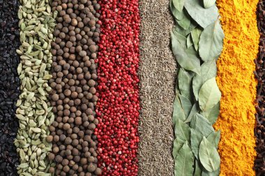 Arka plan olarak farklı baharatlar kümesi, üst görünüm