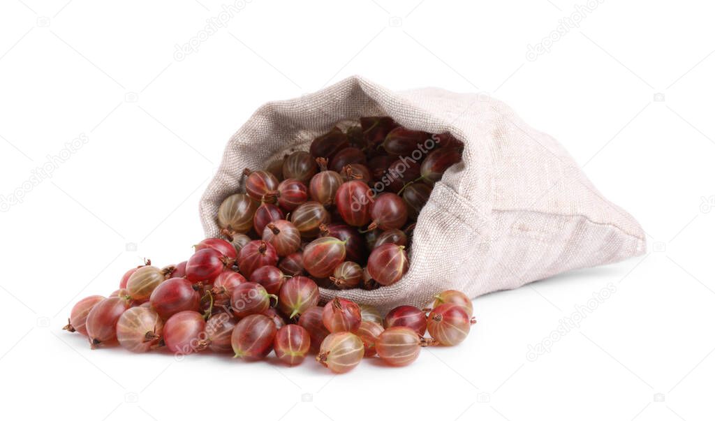 Sack with ripe gooseberries on white background
