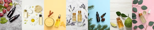 Collage Beautiful Photos Different Natural Essential Oils Top View Banner — Stock Photo, Image