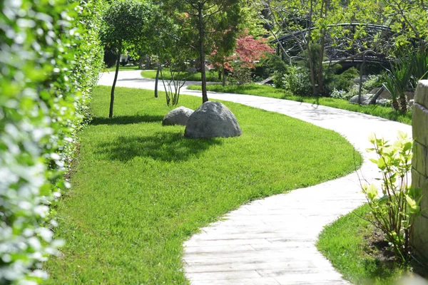 Beautiful Park Green Lawn Plants Walkway Sunny Day — 图库照片