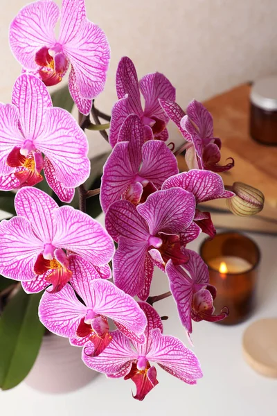 Beautiful Blooming Orchid White Table Closeup — Foto Stock