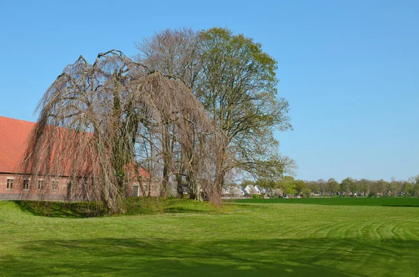 Beautiful Green Field Trees Buildings Sunny Day — Foto de Stock