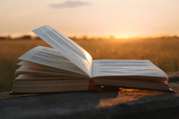 Open Book Wooden Bench Field Sunset Closeup — Stock Fotó