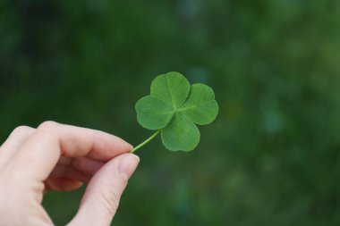 Woman holding one beautiful green clover leaf outdoors, closeup