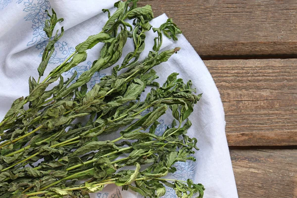 Bunches Wilted Mint Wooden Table Top View — ストック写真