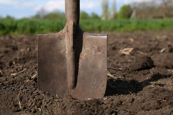 Metal Shovel Soil Outdoors Gardening Tool — Fotografia de Stock