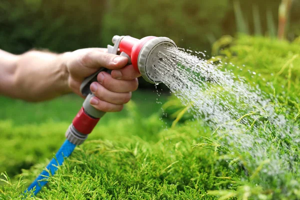 Man Watering Green Grass Hose Garden Closeup — Fotografia de Stock