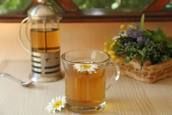 Tasty Herbal Tea Fresh Chamomile Flowers White Table — ストック写真