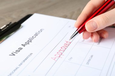 Yazan kadın vize başvurusu formunda onaylandı.
