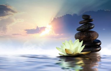 Zen, meditasyon, uyum. Güzel nilüfer çiçeği ve su yüzeyindeki taş yığını, metin için boşluk