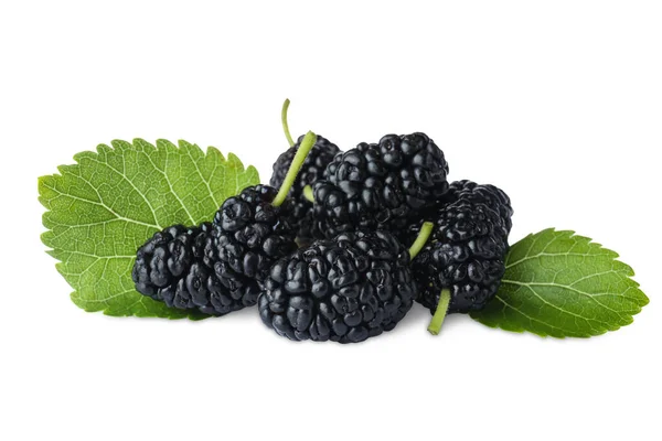 Many Fresh Ripe Black Mulberries Leaves White Background — Stockfoto