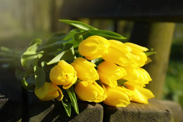 Bouquet Beautiful Yellow Tulips Wooden Bench Outdoors Closeup — Foto de Stock