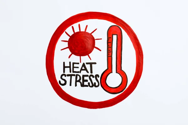 Words Heat Stress Thermometer Sun Drawn Circle White Background Top — Stok fotoğraf