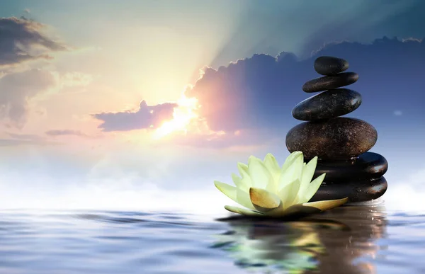 Дзен Медитация Гармония Красивый Цветок Лотоса Стопка Камней Поверхности Воды — стоковое фото