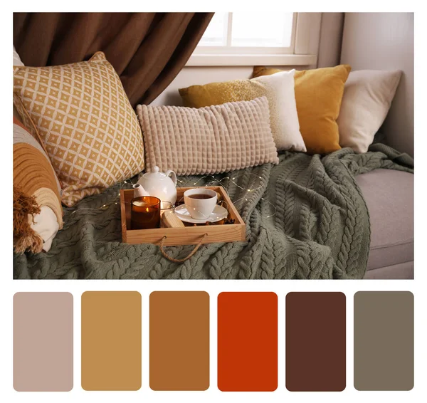 Color Palette Photo Comfortable Lounge Area Knitted Blanket Soft Pillows — 스톡 사진