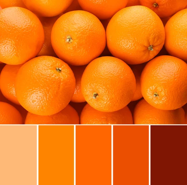 Цветная Палитра Свежие Спелые Апельсины Качестве Фона Вид Сверху — стоковое фото