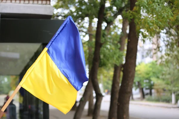 National Flag Ukraine City Street —  Fotos de Stock