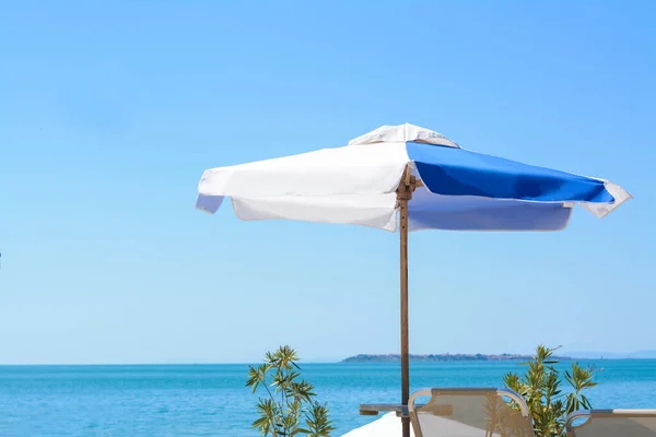 Blue White Beach Umbrella Tropical Resort —  Fotos de Stock