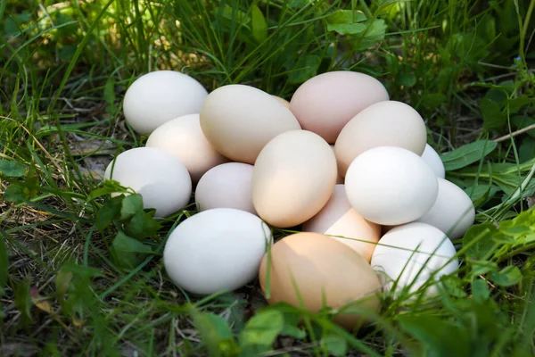 Haufen Frische Rohe Eier Auf Grünem Gras Freien — Stockfoto