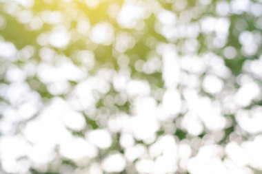 Soyut yeşil arkaplanın bulanık görünümü, bokeh etkisi