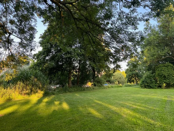 Beautiful View Green Grass Trees Park — стоковое фото