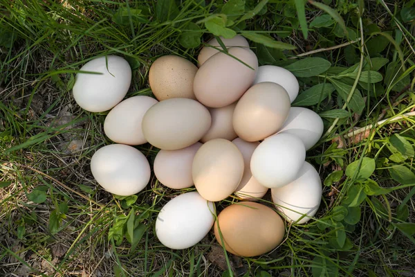 Pile Fresh Raw Eggs Green Grass Outdoors Top View — Foto Stock