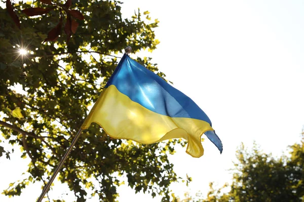 Nationalflagge Der Ukraine Weht Sonnigen Tagen Freien — Stockfoto