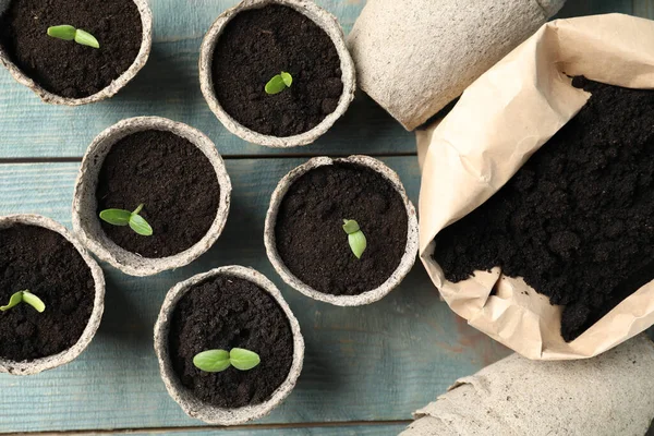 Young seedlings and sack with soil on light blue wooden table, flat lay