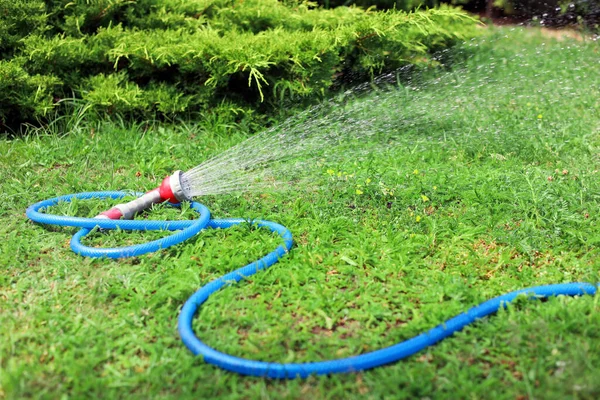 Water spraying from hose on green grass outdoors