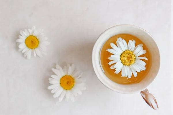 Tasty Herbal Tea Fresh Chamomile Flowers White Table Flat Lay — Zdjęcie stockowe