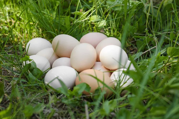 Pile Fresh Raw Eggs Green Grass Outdoors — стоковое фото