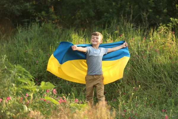Little Boy Running National Flag Ukraine Field — Zdjęcie stockowe