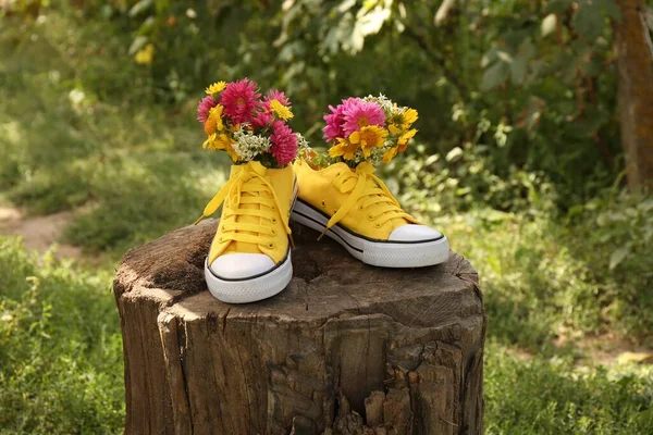Sapatos Com Belas Flores Toco Árvore Livre — Fotografia de Stock