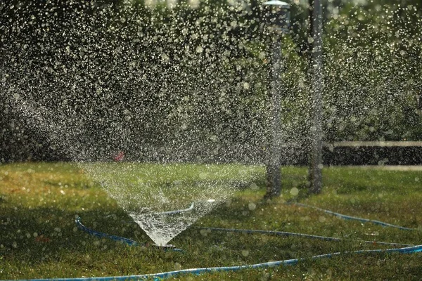 Automatic Sprinkler Watering Green Grass Park Irrigation System — Stock Photo, Image