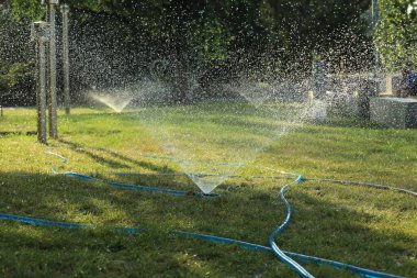 Otomatik fıskiyeler parkta yeşil çimenleri suluyor. Sulama sistemi