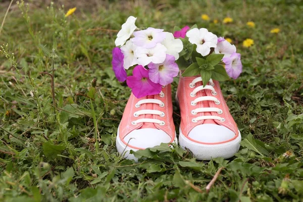 Sapatos Com Belas Flores Grama Livre — Fotografia de Stock