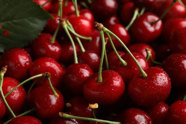 Ripe Sweet Cherries Water Drops Background Closeup — Stockfoto