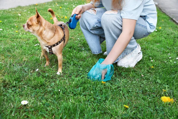 Woman Picking Her Dog Poop Green Grass Closeup — Stock Photo, Image