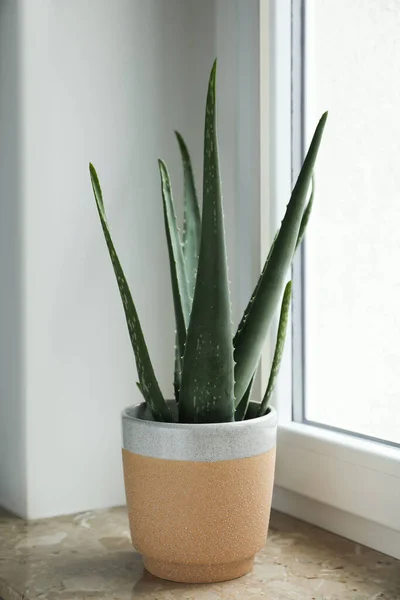 Aloe Vera Verte Pot Sur Rebord Fenêtre Marbre Intérieur Belle — Photo