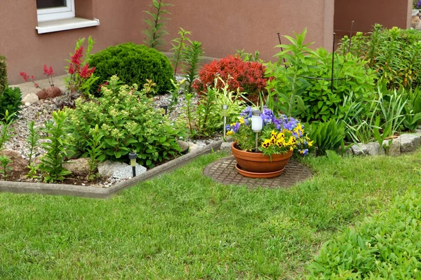 Hermosos Parterres Con Diferentes Plantas Aire Libre Jardinería Paisajismo — Foto de Stock