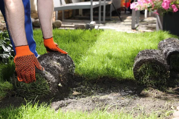 Giardiniere Che Posa Erba Zolle Sul Cortile Primo Piano — Foto Stock