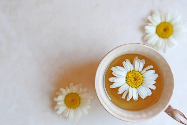 Tasty Herbal Tea Fresh Chamomile Flowers White Table Flat Lay — Stock Fotó