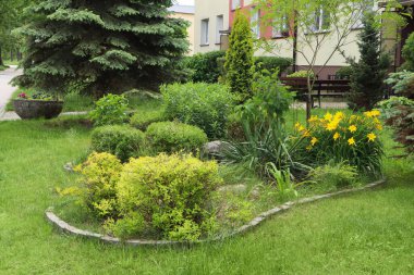 Şehir caddesinde farklı bitkiler olan güzel bir çiçek tarlası. Bahçe işleri ve peyzaj.